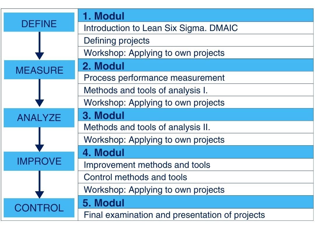 DMAIC and the five program modules 